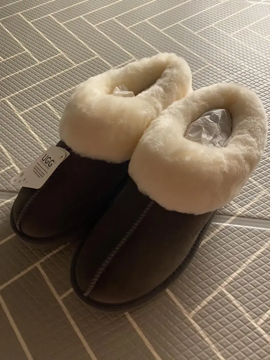 UGG 290